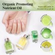Organic Nail Nourishing Oil