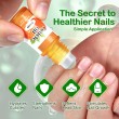 Anti Crack Nail Edge Care Oil